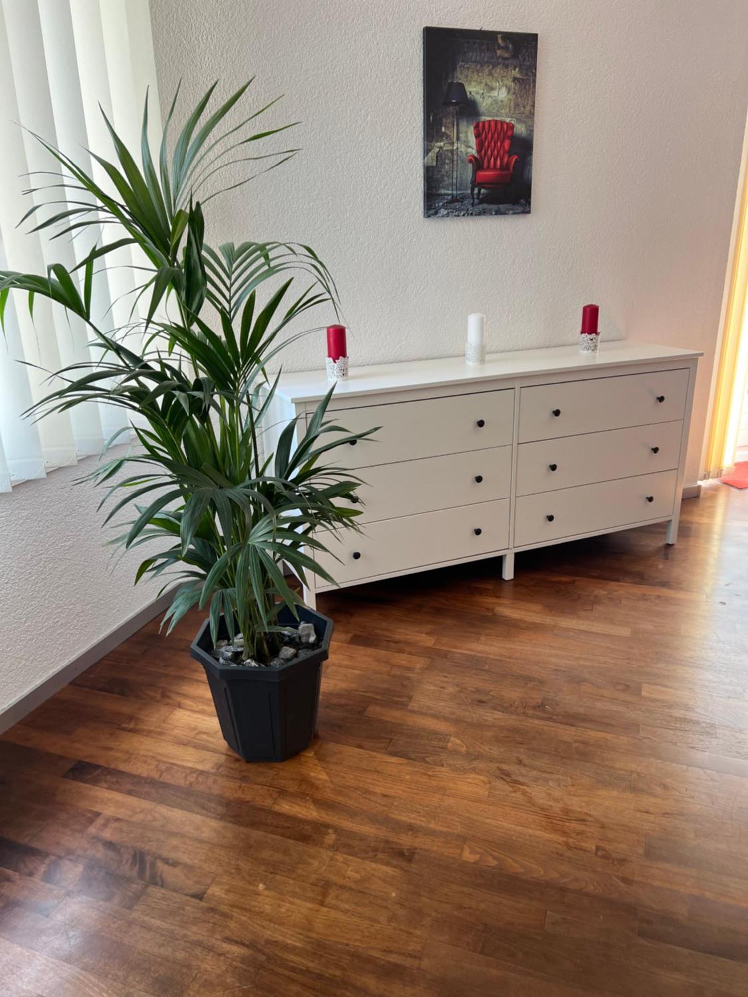 Apartment Peter Интерлакен Екстериор снимка