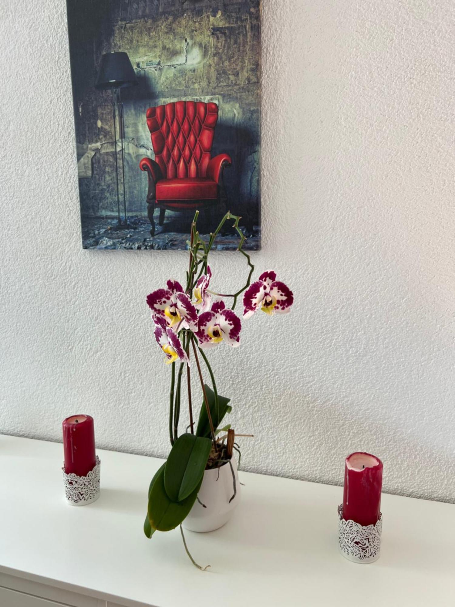 Apartment Peter Интерлакен Екстериор снимка